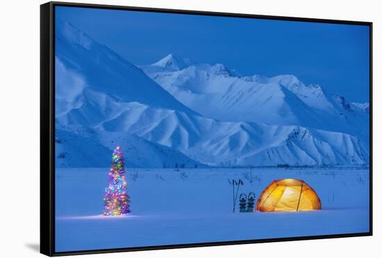 Backpacking Tent Lit Up At Twilight With Christmas Tree Next To It Alaska Range-Design Pics-Framed Stretched Canvas