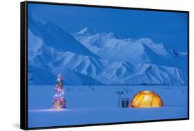 Backpacking Tent Lit Up At Twilight With Christmas Tree Next To It Alaska Range-Design Pics-Framed Stretched Canvas