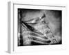 Backslide-Stephen Arens-Framed Premium Photographic Print