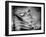 Backslide-Stephen Arens-Framed Photographic Print