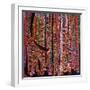 Backstrap Weaving-Linda Arthurs-Framed Giclee Print