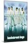 Backstreet Boys - Millennium-Trends International-Mounted Poster