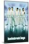 Backstreet Boys - Millennium-Trends International-Mounted Poster