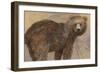 Backward Glance-Albena Hristova-Framed Premium Giclee Print