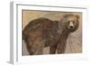 Backward Glance-Albena Hristova-Framed Premium Giclee Print