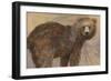 Backward Glance-Albena Hristova-Framed Art Print