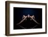 Backward-David Naman-Framed Photographic Print