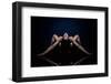 Backward-David Naman-Framed Photographic Print