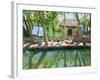 Backwaters, India-Andrew Macara-Framed Giclee Print