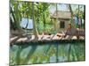 Backwaters, India-Andrew Macara-Mounted Giclee Print