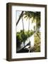 Backwaters Near North Paravoor, Kerala, India, South Asia-Ben Pipe-Framed Photographic Print