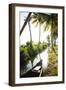 Backwaters Near North Paravoor, Kerala, India, South Asia-Ben Pipe-Framed Photographic Print