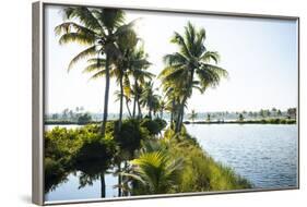 Backwaters Near North Paravoor, Kerala, India, South Asia-Ben Pipe-Framed Photographic Print