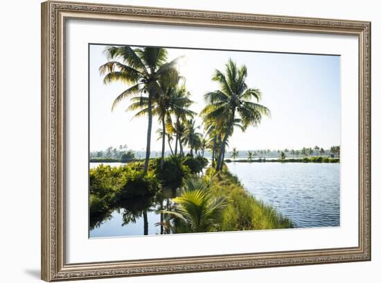 Backwaters Near North Paravoor, Kerala, India, South Asia-Ben Pipe-Framed Photographic Print