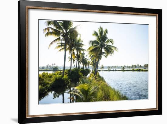 Backwaters Near North Paravoor, Kerala, India, South Asia-Ben Pipe-Framed Photographic Print