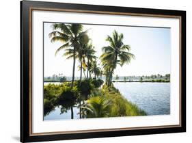 Backwaters Near North Paravoor, Kerala, India, South Asia-Ben Pipe-Framed Photographic Print