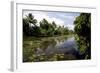 Backwaters of Kumarakom, Kottayam, Kerala, India, Asia-Balan Madhavan-Framed Photographic Print