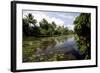 Backwaters of Kumarakom, Kottayam, Kerala, India, Asia-Balan Madhavan-Framed Photographic Print