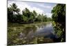 Backwaters of Kumarakom, Kottayam, Kerala, India, Asia-Balan Madhavan-Mounted Photographic Print