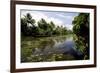 Backwaters of Kumarakom, Kottayam, Kerala, India, Asia-Balan Madhavan-Framed Photographic Print