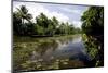 Backwaters of Kumarakom, Kottayam, Kerala, India, Asia-Balan Madhavan-Mounted Photographic Print