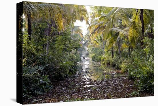 Backwaters, Vaikom, Kerala, India, Asia-Balan Madhavan-Stretched Canvas