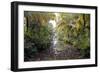 Backwaters, Vaikom, Kerala, India, Asia-Balan Madhavan-Framed Photographic Print