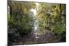 Backwaters, Vaikom, Kerala, India, Asia-Balan Madhavan-Mounted Photographic Print