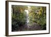 Backwaters, Vaikom, Kerala, India, Asia-Balan Madhavan-Framed Photographic Print