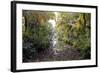 Backwaters, Vaikom, Kerala, India, Asia-Balan Madhavan-Framed Photographic Print