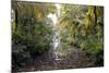 Backwaters, Vaikom, Kerala, India, Asia-Balan Madhavan-Mounted Photographic Print