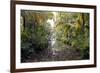 Backwaters, Vaikom, Kerala, India, Asia-Balan Madhavan-Framed Photographic Print