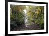 Backwaters, Vaikom, Kerala, India, Asia-Balan Madhavan-Framed Photographic Print