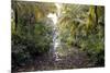 Backwaters, Vaikom, Kerala, India, Asia-Balan Madhavan-Mounted Photographic Print