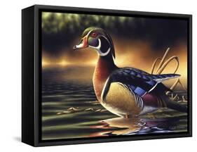 Backwoods Marsh-Chuck Black-Framed Stretched Canvas