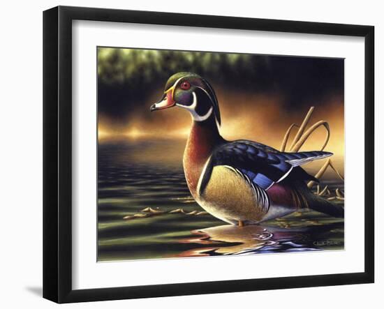 Backwoods Marsh-Chuck Black-Framed Giclee Print