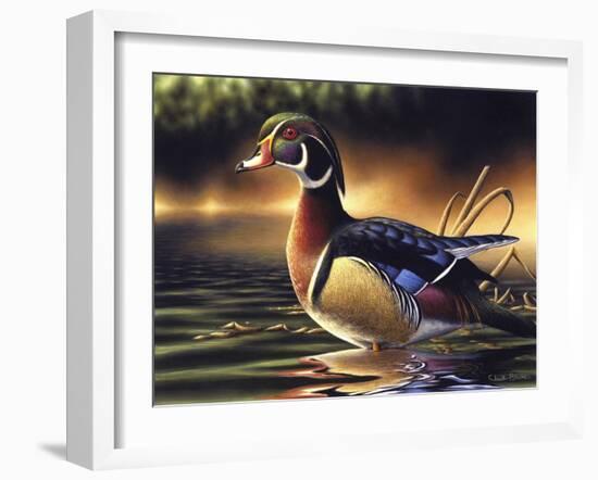 Backwoods Marsh-Chuck Black-Framed Giclee Print