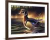 Backwoods Marsh-Chuck Black-Framed Giclee Print