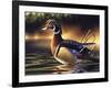 Backwoods Marsh-Chuck Black-Framed Giclee Print