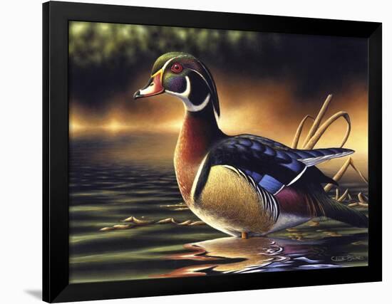 Backwoods Marsh-Chuck Black-Framed Giclee Print