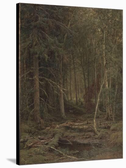 Backwoods-Ivan Ivanovich Shishkin-Stretched Canvas