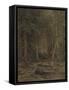 Backwoods-Ivan Ivanovich Shishkin-Framed Stretched Canvas