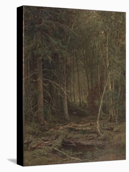 Backwoods-Ivan Ivanovich Shishkin-Stretched Canvas