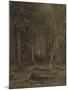 Backwoods-Ivan Ivanovich Shishkin-Mounted Giclee Print