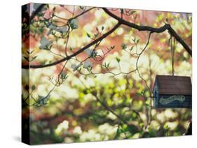 Backyard Bird Feeder, Birdhouse and Spring Flowers-Gayle Harper-Stretched Canvas