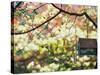 Backyard Bird Feeder, Birdhouse and Spring Flowers-Gayle Harper-Stretched Canvas