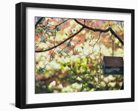 Backyard Bird Feeder, Birdhouse and Spring Flowers-Gayle Harper-Framed Photographic Print