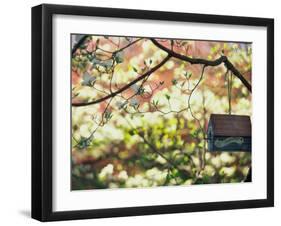 Backyard Bird Feeder, Birdhouse and Spring Flowers-Gayle Harper-Framed Photographic Print