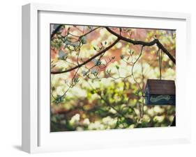 Backyard Bird Feeder, Birdhouse and Spring Flowers-Gayle Harper-Framed Photographic Print