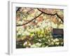 Backyard Bird Feeder, Birdhouse and Spring Flowers-Gayle Harper-Framed Photographic Print